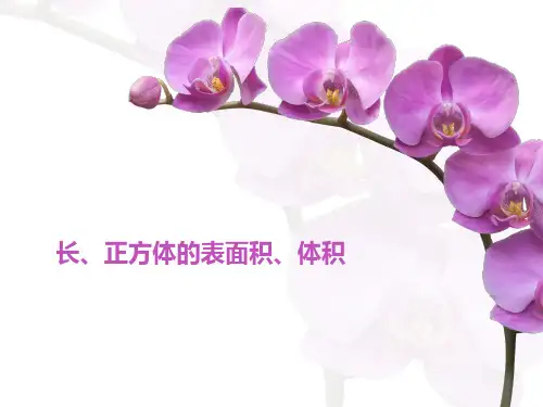 长方体、正方体必考题型练习题