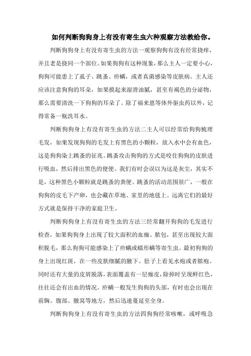 如何判断狗狗身上有没有寄生虫六种观察方法教给你