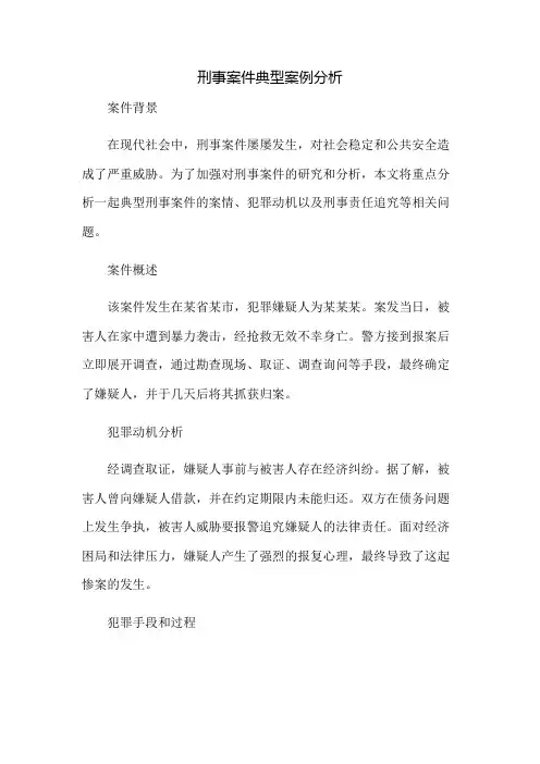刑事案件典型案例分析