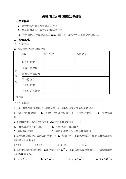 高三一轮复习有丝分裂和减数分裂学案(含答案)