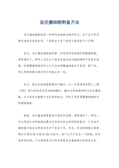 杂交瘤细胞制备方法