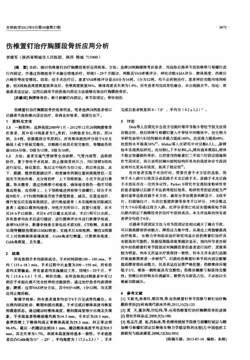 伤椎置钉治疗胸腰段骨折应用进展分析