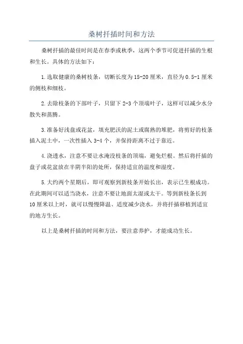 桑树扦插时间和方法