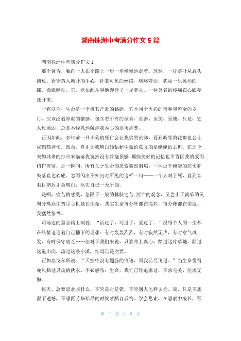 湖南株洲中考满分作文5篇