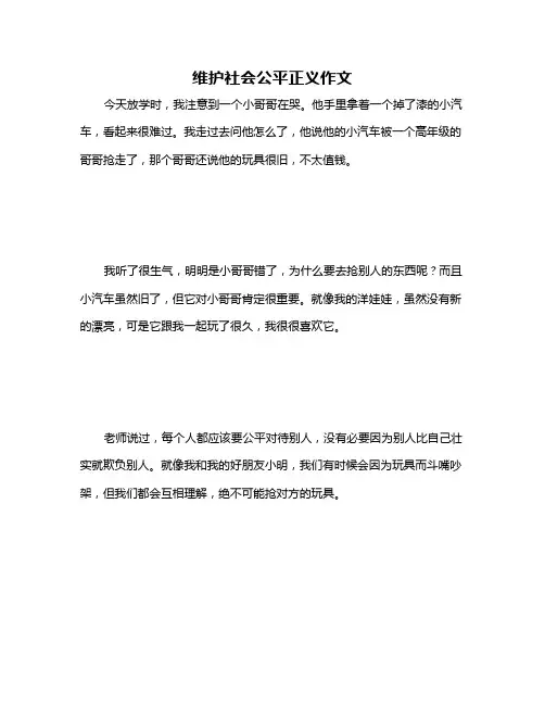 维护社会公平正义作文