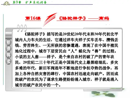 高中语文人教选修《中国小说欣赏》课件：第16课《骆驼祥子》——高妈