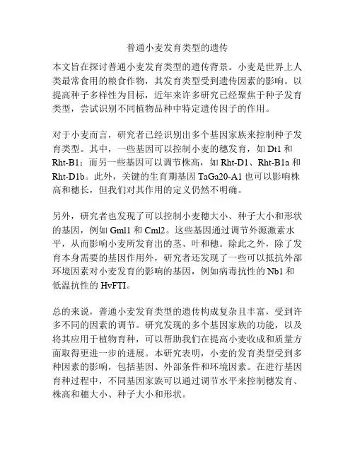 普通小麦发育类型的遗传
