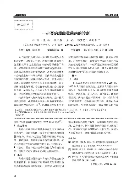 一起赛鸽烟曲霉菌病的诊断
