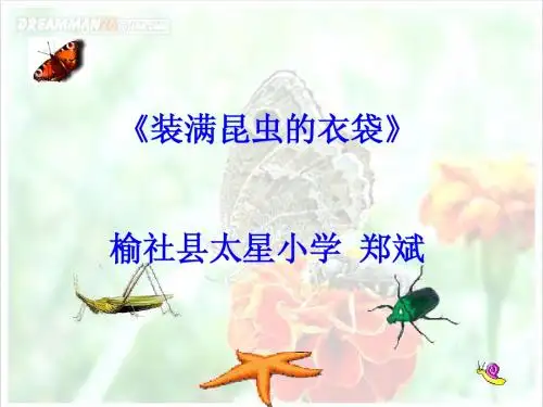 《装满昆虫的衣袋》(苏教版五年级上)22