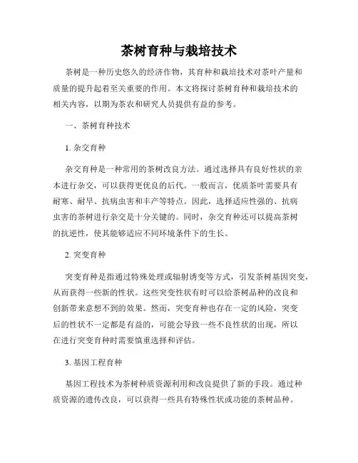 茶树育种与栽培技术