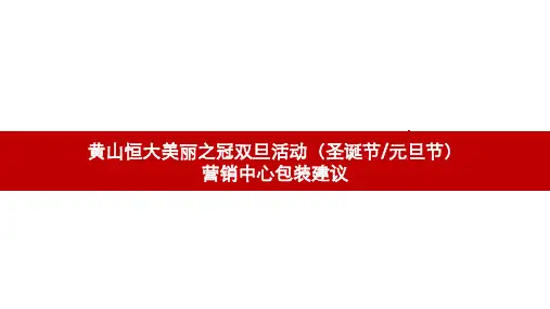 悦湖熙岸双旦活动包装方案