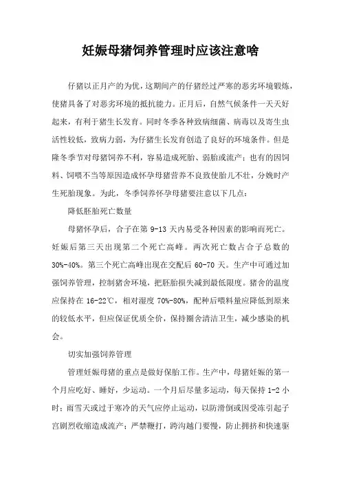 妊娠母猪饲养管理时应该注意啥