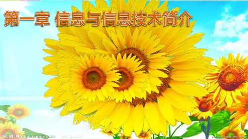 信息与信息技术简介
