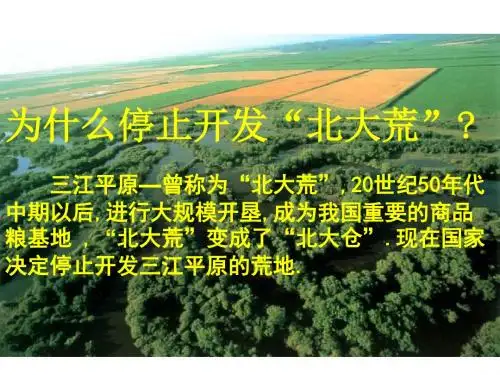 问题研究  为什么停止开发“北大荒”