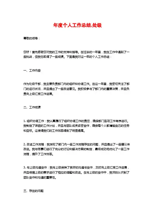年度个人工作总结,处级