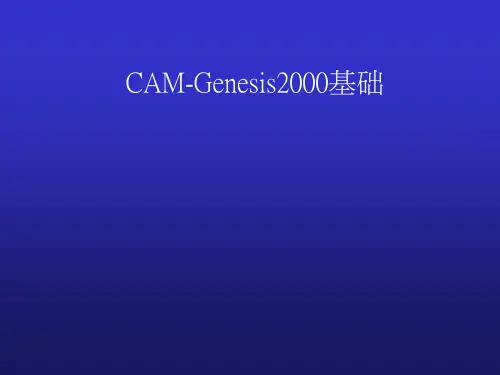 GENESIS全套资料制作流程