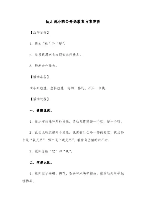 幼儿园小班公开课教案方案范例(3篇)