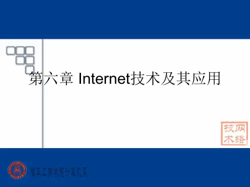 第六章 Internet技术及其应用PPT课件