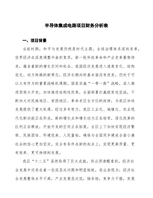 半导体集成电路项目财务分析表 (1)