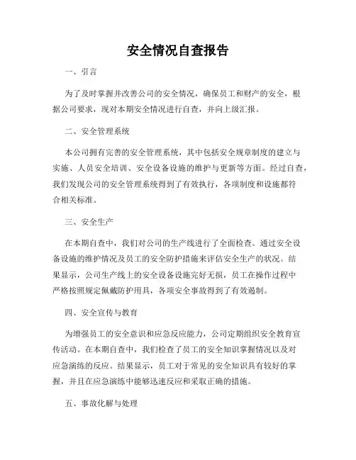 安全情况自查报告