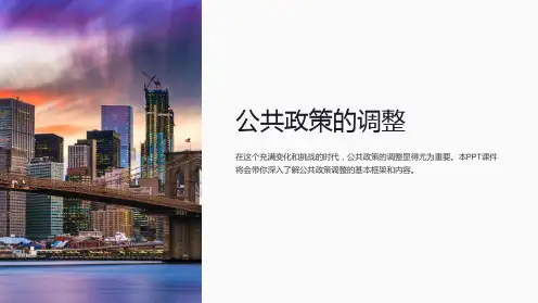 《公共政策的调整》课件