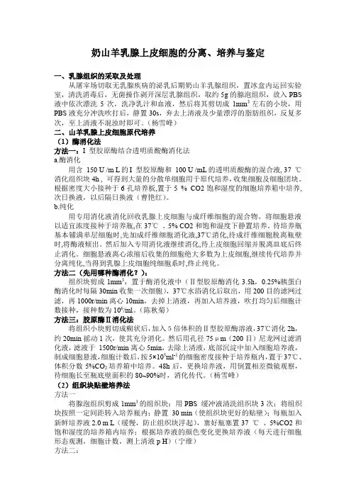 乳腺上皮细胞分离方法