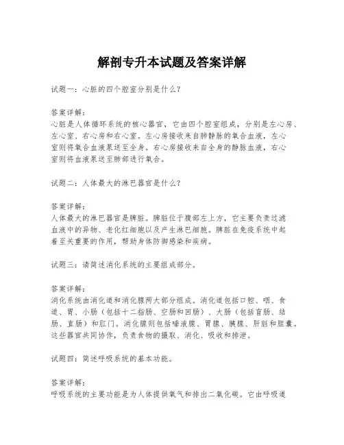 解剖专升本试题及答案详解