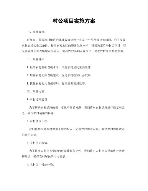 村公项目实施方案