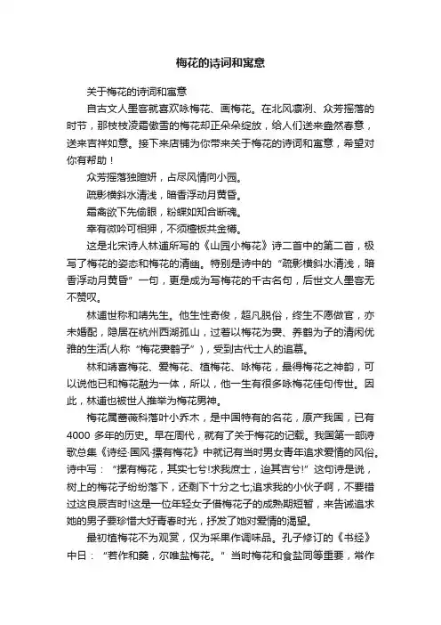 梅花的诗词和寓意