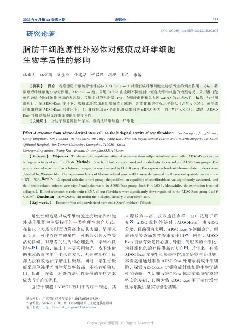 脂肪干细胞源性外泌体对瘢痕成纤维细胞生物学活性的影响