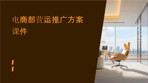 电商部营运推广方案课件