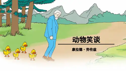 《动物笑谈》课件(共26张PPT)
