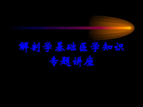 解剖学基础医学知识专题讲座
