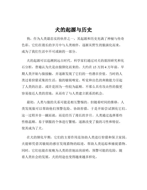 犬的起源与历史
