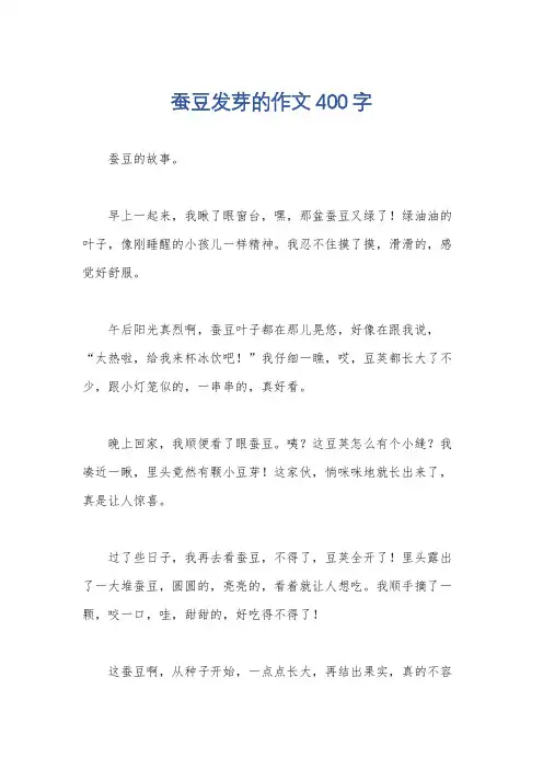 蚕豆发芽的作文400字