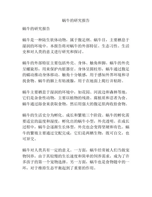 蜗牛的研究报告