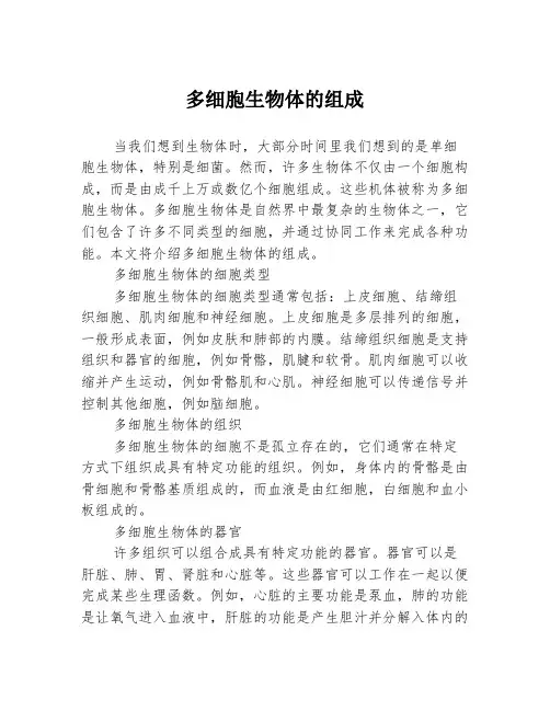 多细胞生物体的组成