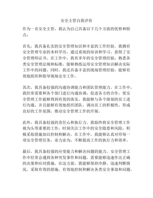 安全主管自我评价