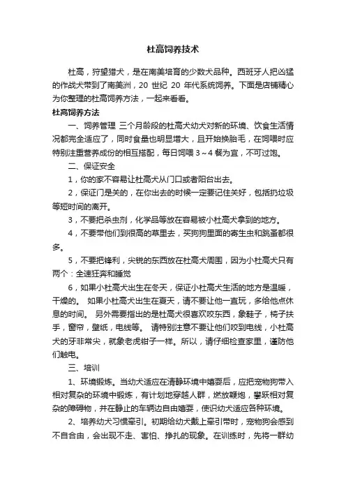 杜高饲养技术