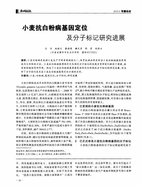小麦抗白粉病基因定位及分子标记研究进展