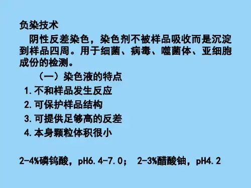 负染技术、扫描电镜样品制备技术