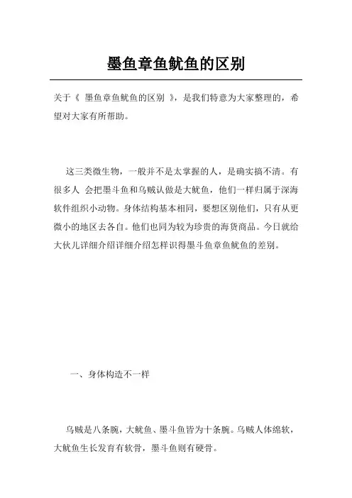 墨鱼章鱼鱿鱼的区别