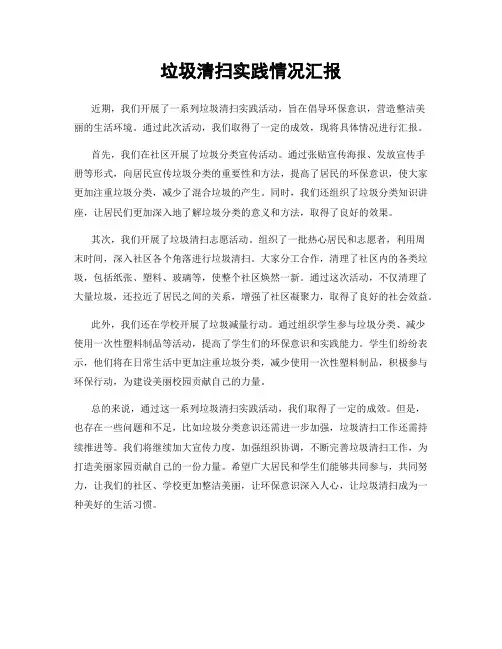 垃圾清扫实践情况汇报