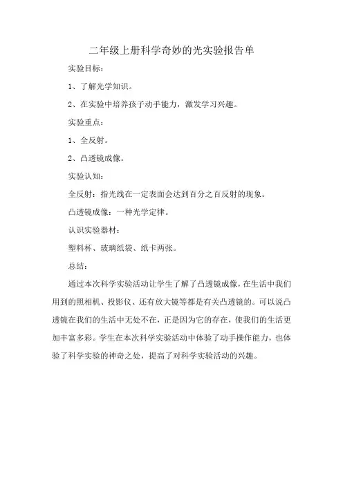 二年级上册科学奇妙的光实验报告单