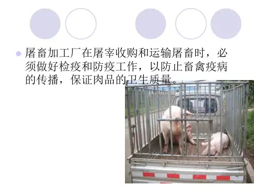 屠宰收购和运输的兽医卫生检查参考PPT