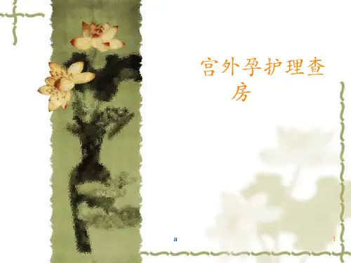 宫外孕护理查房PPT课件