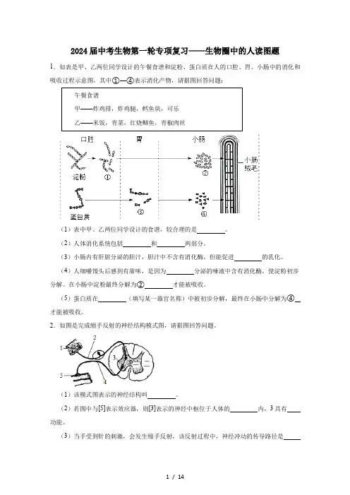 2024届中考生物第一轮专项复习——生物圈中的人读图题(含答案)
