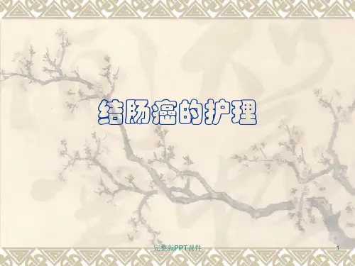 结肠癌的护理ppt课件
