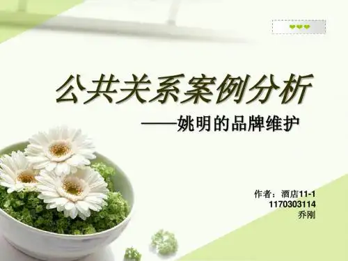 公共关系案例分析PPT