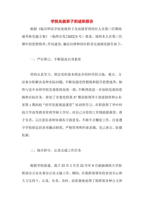 2019年学院处级班子的述职报告